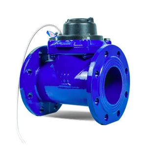 Waltman Meters