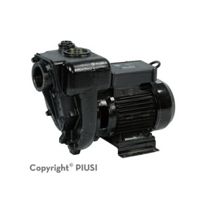 PIUSI E300 Transfer Pump